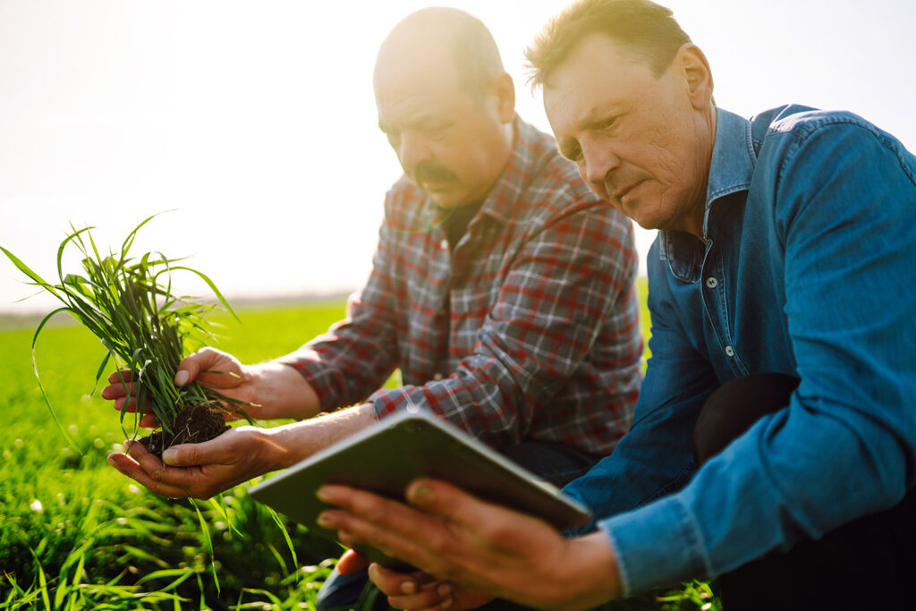 immagine-obbiettivi-progetto-siscol-sistemi-coltivazione-innovazione-agricoltura-sicilia-italia