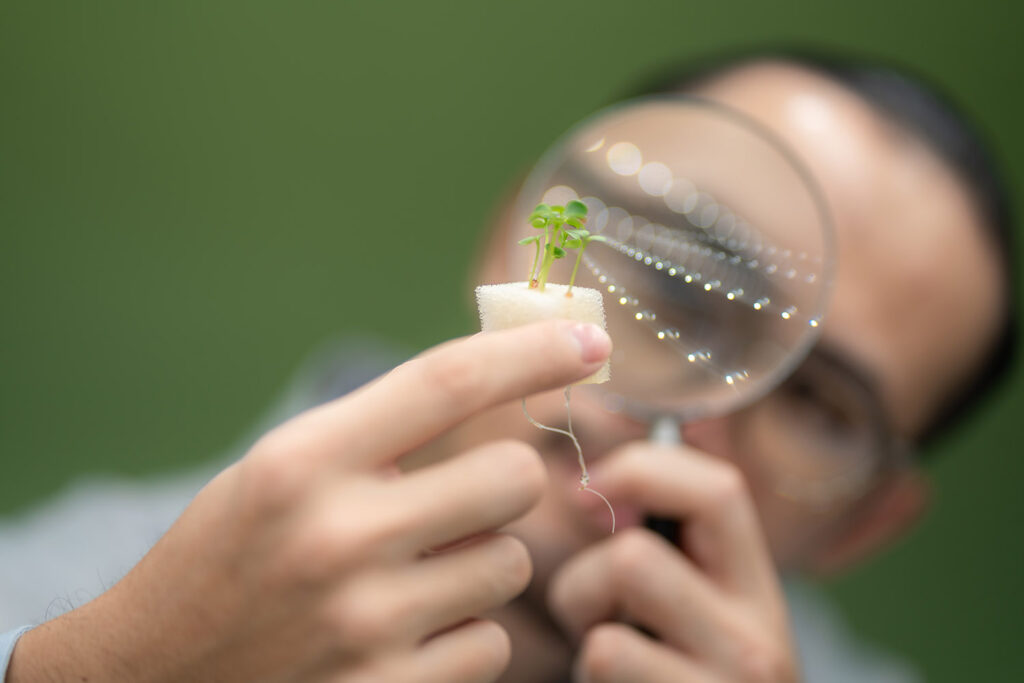 ricerca-università-catania-progetto-siscol-sistemi-coltivazione-innovazione-agricoltura-sicilia-italia-2